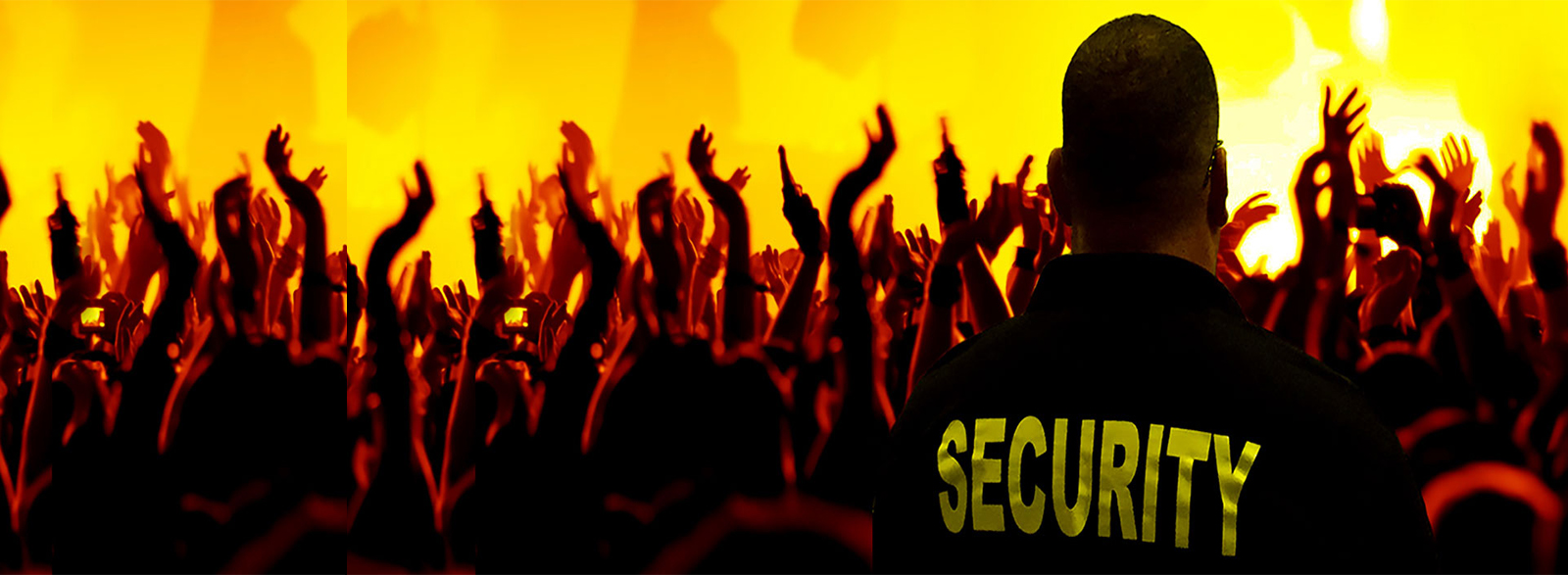 Best Security Service in Nepal